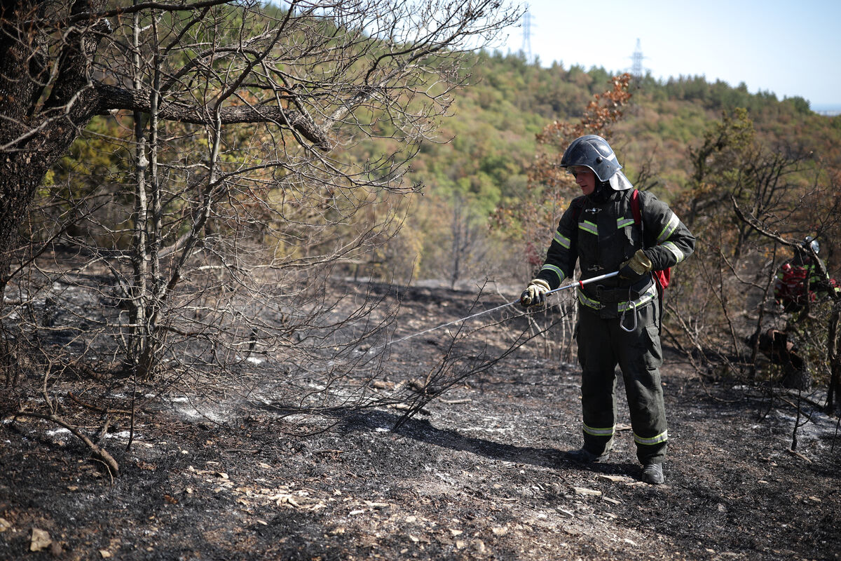 В нескольких регионах России ожидается чрезвычайная пожарная опасность