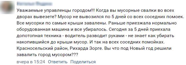 Эколог Гаркуша описала заботу чиновников о чистоте Петербурга фразой «мы в танке»
