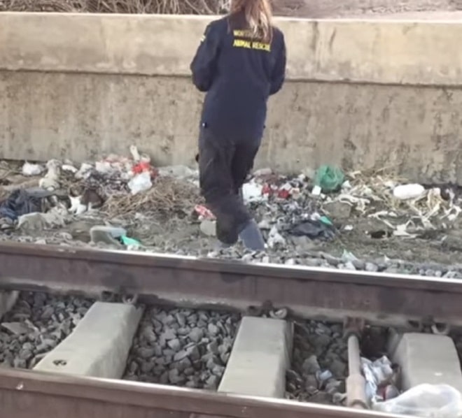 Женщина возле путей