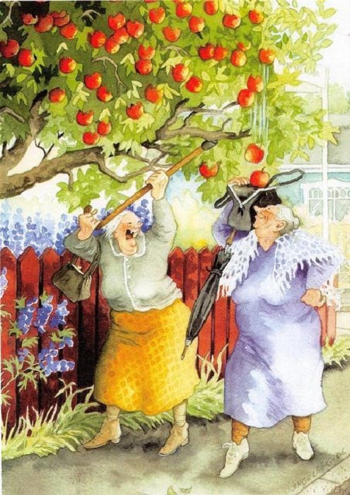 Неунывающие старушки в серии весёлых открыток финской художницы Инге Лоок Неунывающие старушки в серии весёлых открыток финской художницы Инге Лоок жизнь