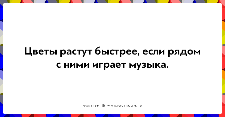 20 неожиданных фактов, которые на самом деле чистая правда