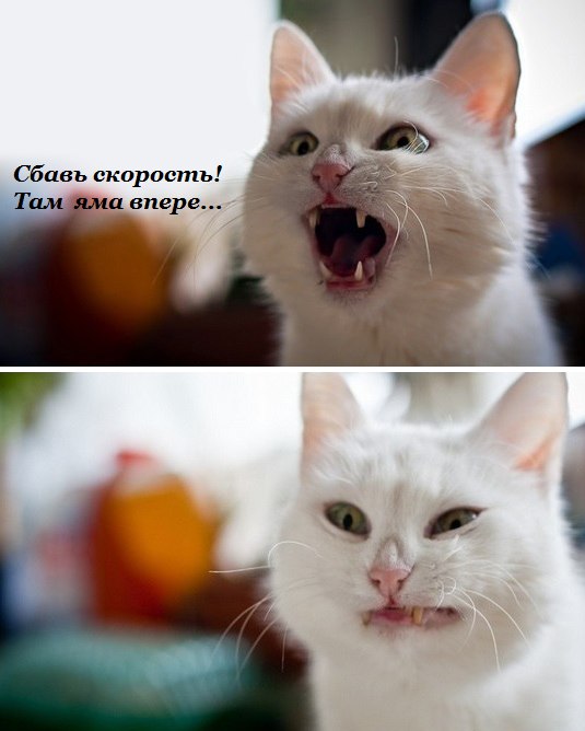 Подборка интересных и веселых картинок №54 Подборка интересных и веселых картинок №54 отдых