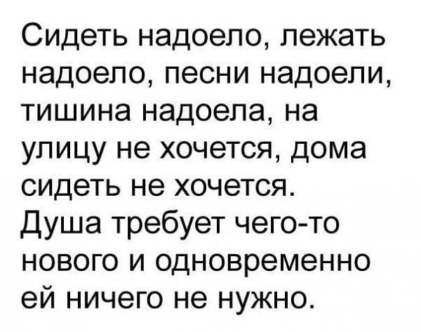 Правда иногда они сами не знают, что хотят, но от этого их бурная деятельность не страдает, они все равно находят чем заняться всчина, женщины, жизнь, обязанности, юмор