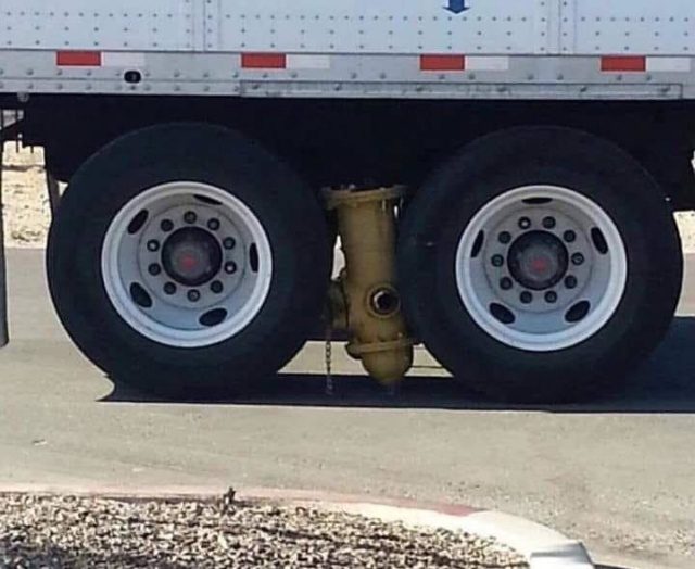 Подборка самых весёлых картинок 