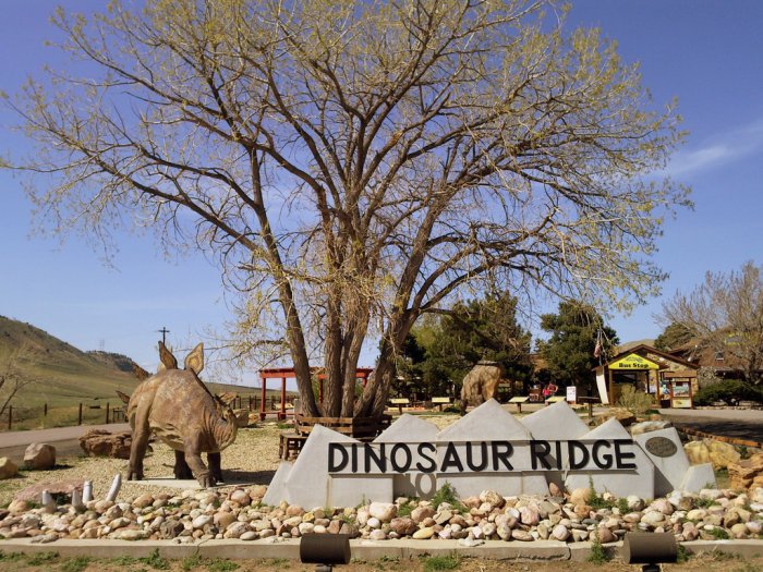 Диносаер Ридж – место встречи с динозаврами