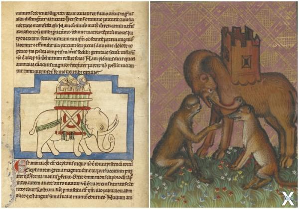 Слева направо: Слон, около 1250-1260 ...