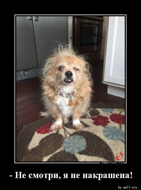 Демотиваторы для всех: «Желаю вам много тепла!»  