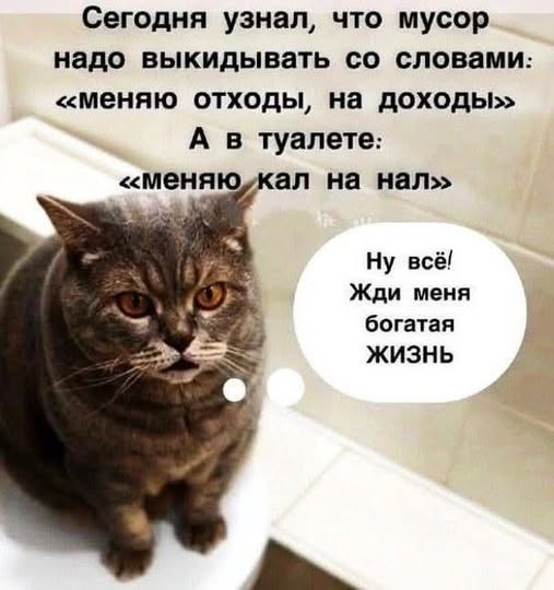 Сопелье — сотрудник аптеки, помогающий подобрать подходящий спрей от насморка 