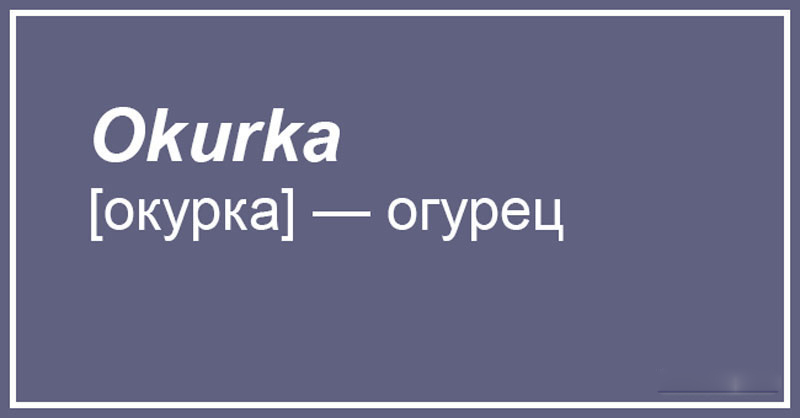 Чешский, что ты делаешь? Прекрати. 20 случаев, когда сдержать смех просто нереально 