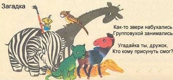 Загадки