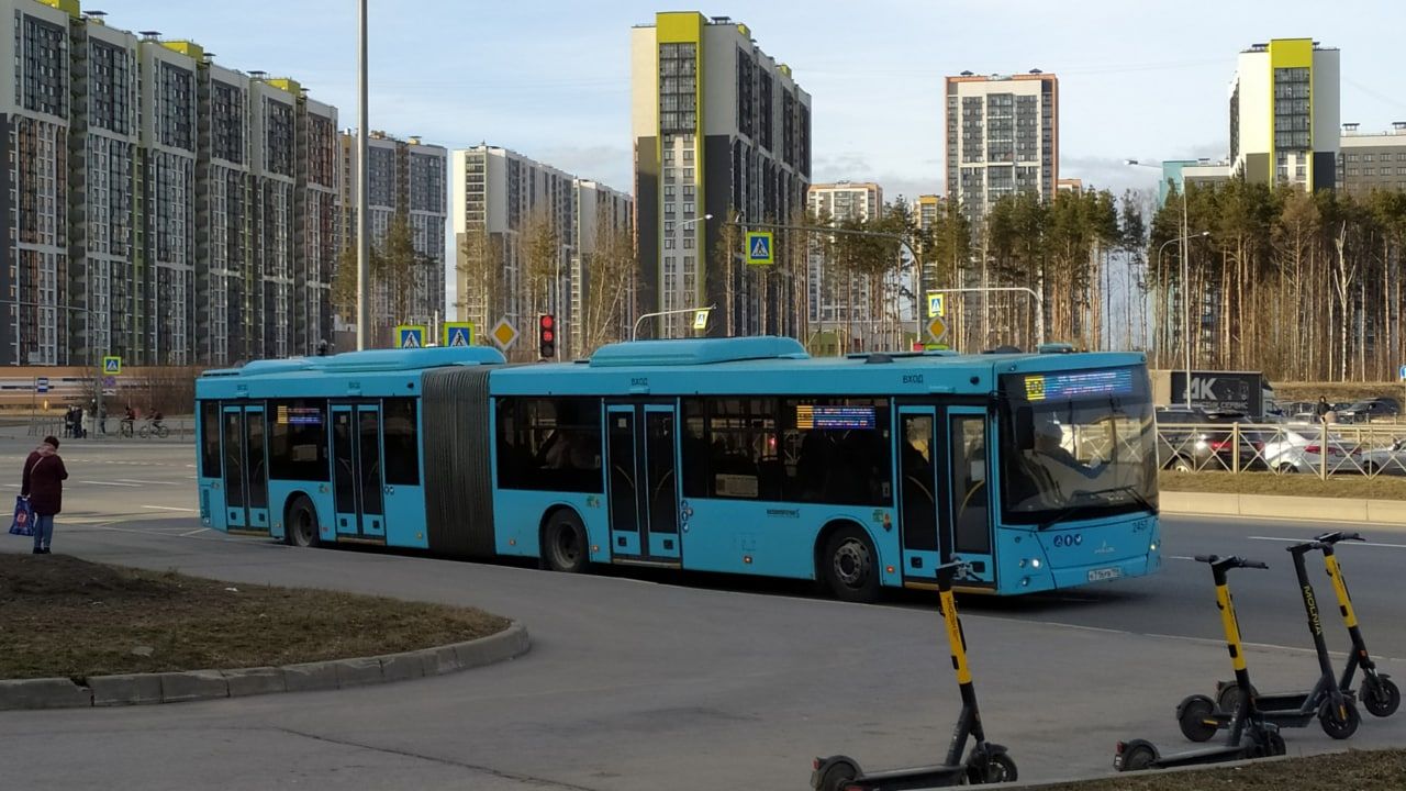 Жизнь петербуржцев оказалась в опасности из-за транспортной реформы