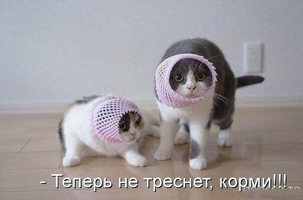 Юмор из интернета 739 позитив,смех,улыбки,юмор