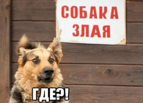 Новые прикольные анекдоты