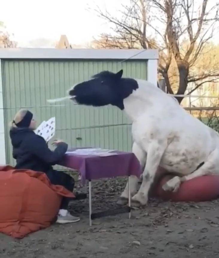 Подборка прикольных картинок  приколы,смешные картинки,юмор