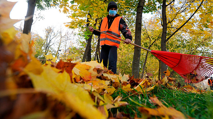 ГОЛОВЫ ЛЕТЯТ НАД ОБЛАСТЯМИ. КТО ИЗ ГУБЕРНАТОРОВ СЛЕДУЮЩИЙ НА ВЫХОД?