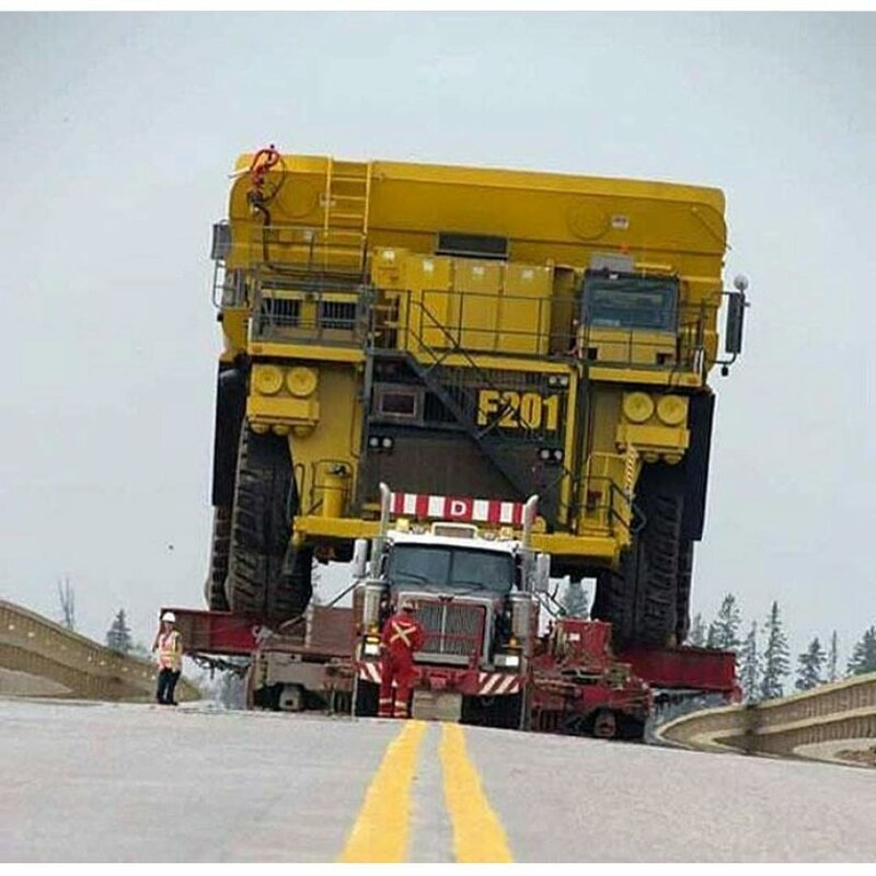 Чудеса погрузки и грузоперевозок: человек-муравей и его сила Чудеса погрузки и грузоперевозок: человек-муравей и его сила