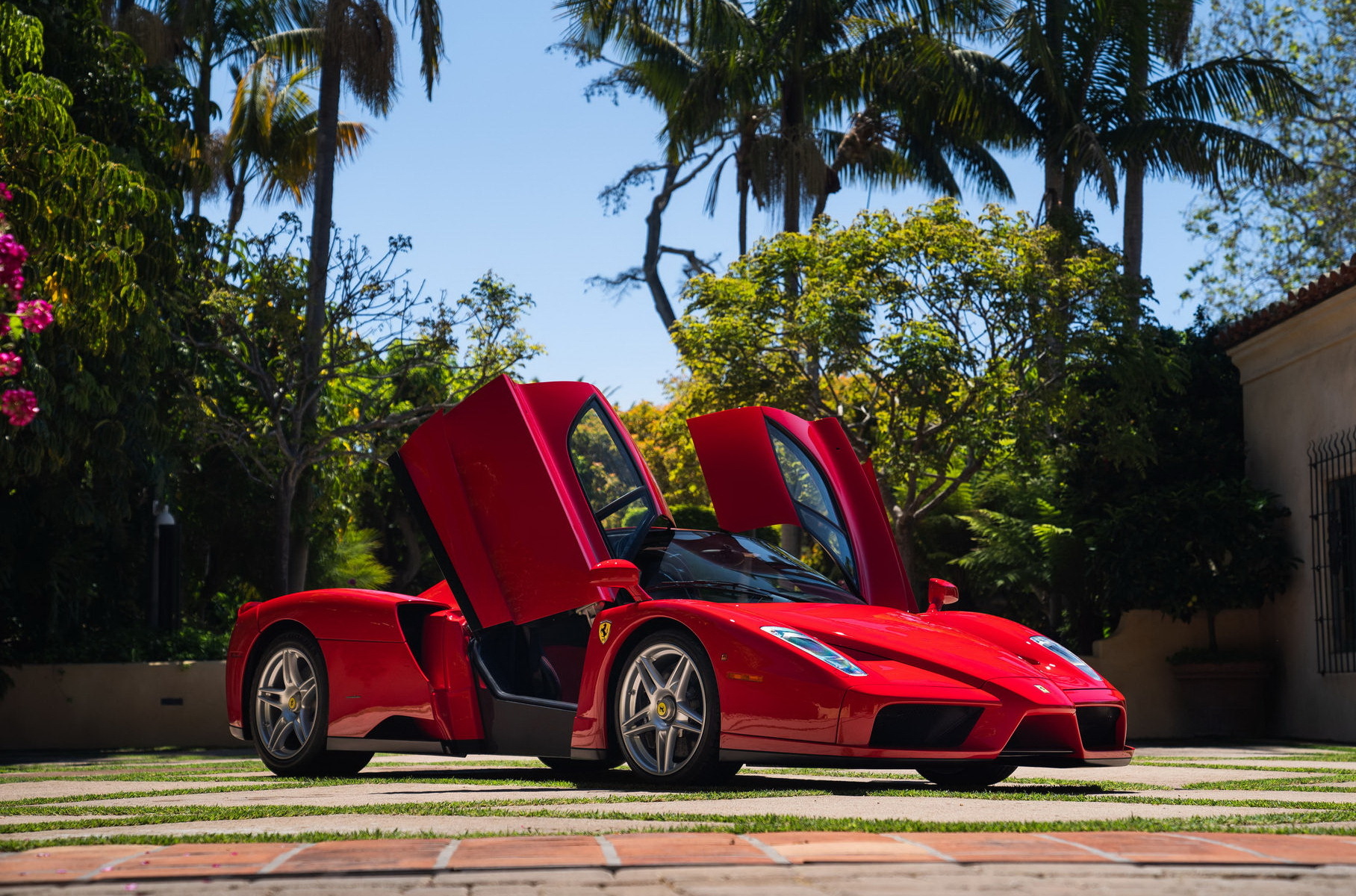 Ferrari enzo фото