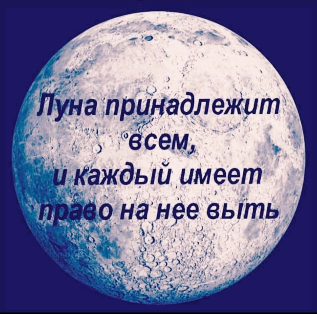 Юмор из интернета 669 Юмор из интернета 669 позитив,смех,улыбки,юмор