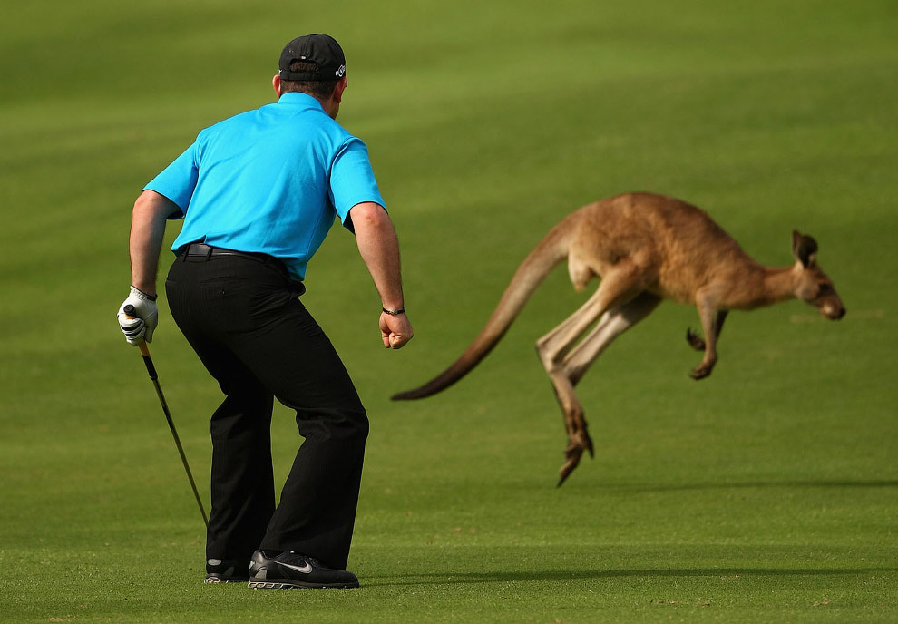 Любитель гольфа из Австралии