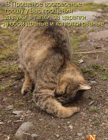 3b8571e42c0a87804a3bccb403ce2a38 (360x467, 192Kb)