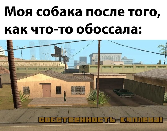 Подборка прикольных картинок  приколы,смешные картинки,юмор