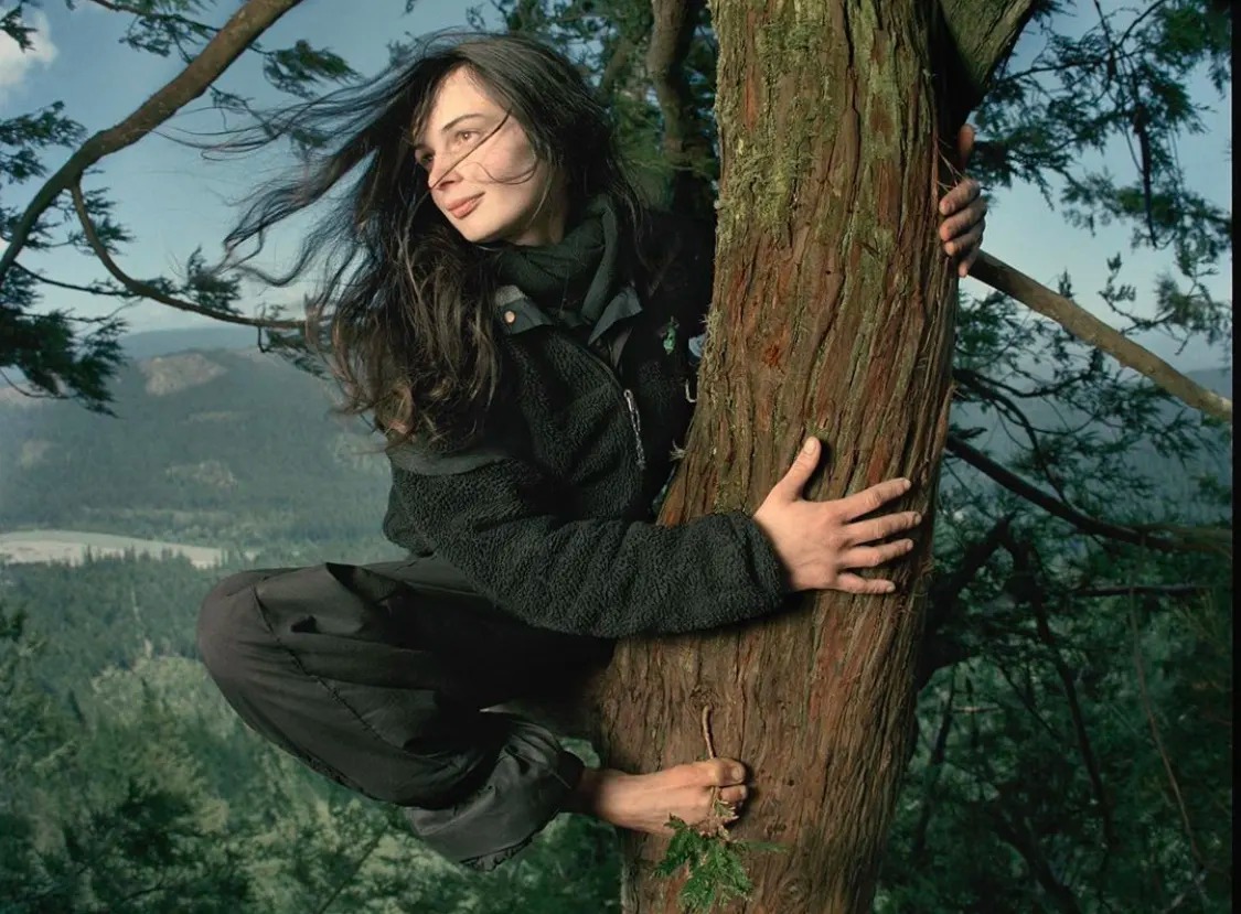 История Джулии «Баттерфляй», девушки, которая 2 года прожила на дереве