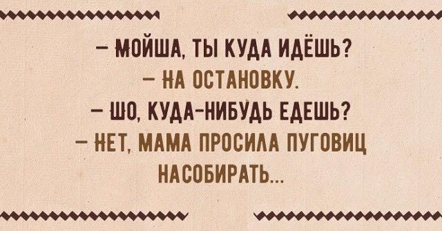 Оптимист - человек, намеревающийся вступить в брак. Пессимист - женатый оптимист Мусорный, великих, титул, рыцаря, мощных, люлей, Чебоксарах12, Ктото, автостопщиков, тогда, говорил, ладится, контакт, водителем, кабину, наполняет, получил, 2003й, тишина, залаяла