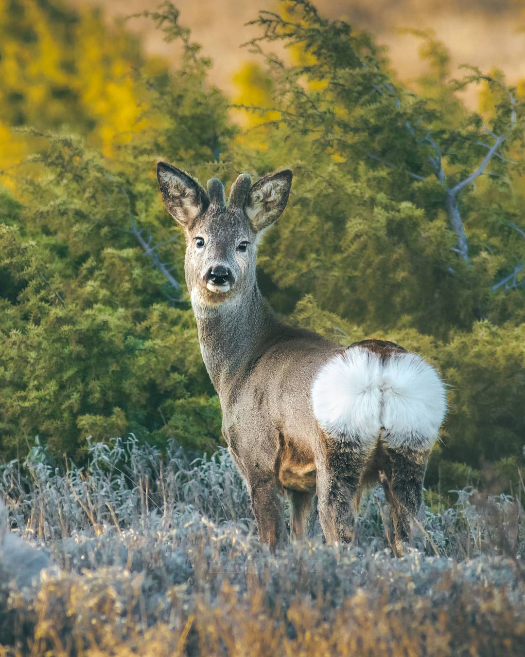 Фотограф-путешественник Гарри Томлянович открывает красоту мира 