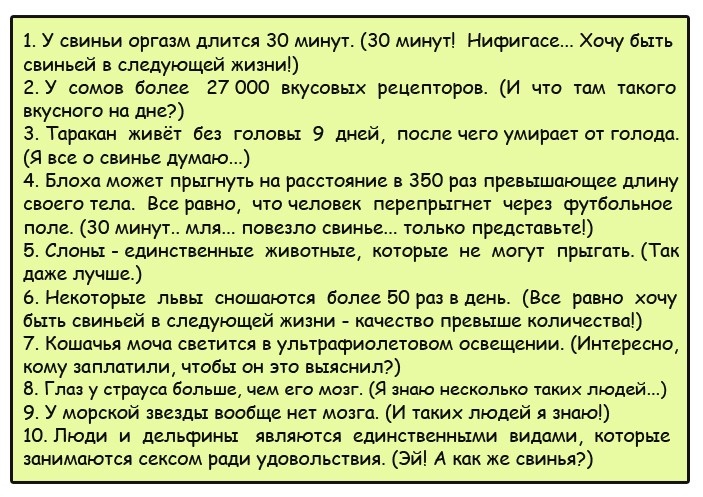 ДЕВОЧКИ! НЕ ОБИЖАЙТЕСЬ НА КОЗЛОВ. ОБИЖАЙТЕСЬ НА СЕБЯ. КАЛИТКУ В ОГОРОД ЗАКРЫВАТЬ НАДО!!! 