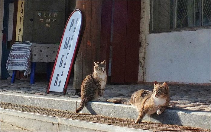 Копченая рыба. Плёс
