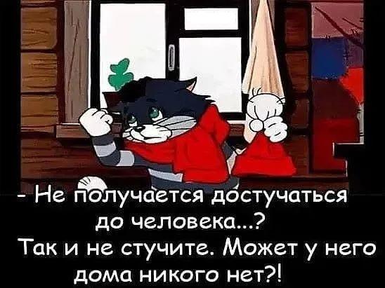 Смешные до слез клевые картинки