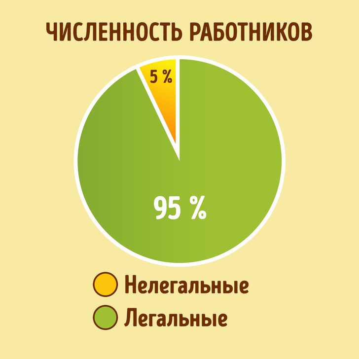 Туристические визы: в чём их смысл? виза,полезно знать,турист