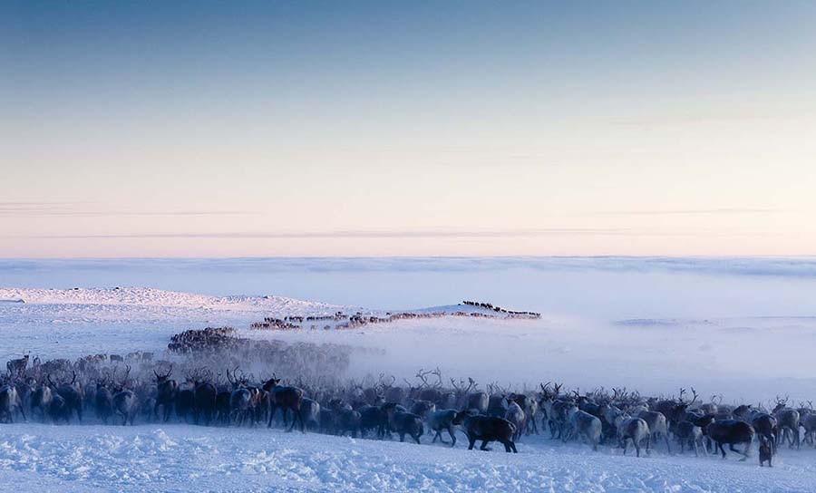 Несколько мест на карте для настоящих экстремальных путешествий Несколько мест на карте для настоящих экстремальных путешествий экстрим