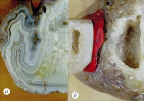 ОТКРЫТИЕ КРЕМНИЕВОЙ ФОРМЫ ЖИЗНИ  НА ЗЕМЛЕ  