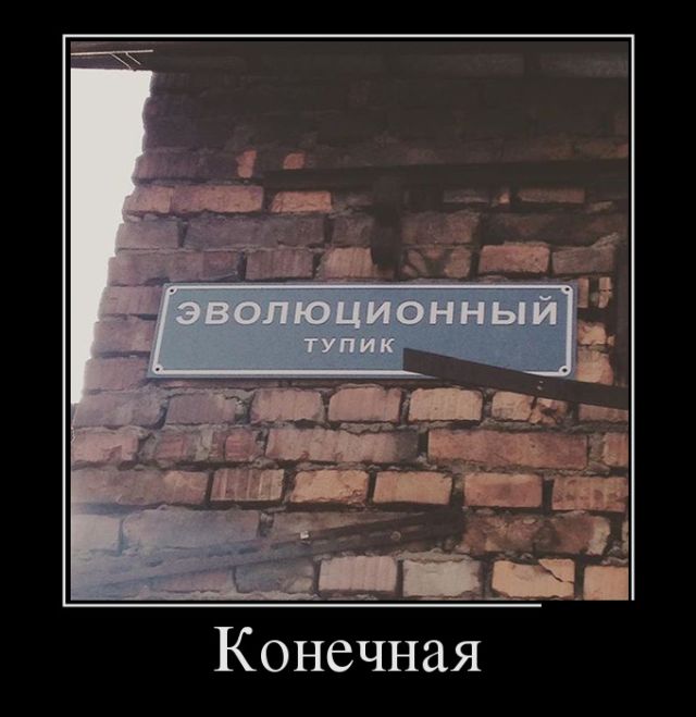 Демотиваторы. Порадуй любимую Среди, демотиваторов, увидите, недовольного, хитрого, неработающий, платежный, терминал, многое, другое