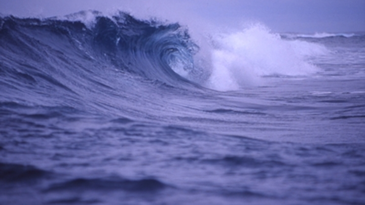 Последние новости России — сегодня 14 мая 2019 россия