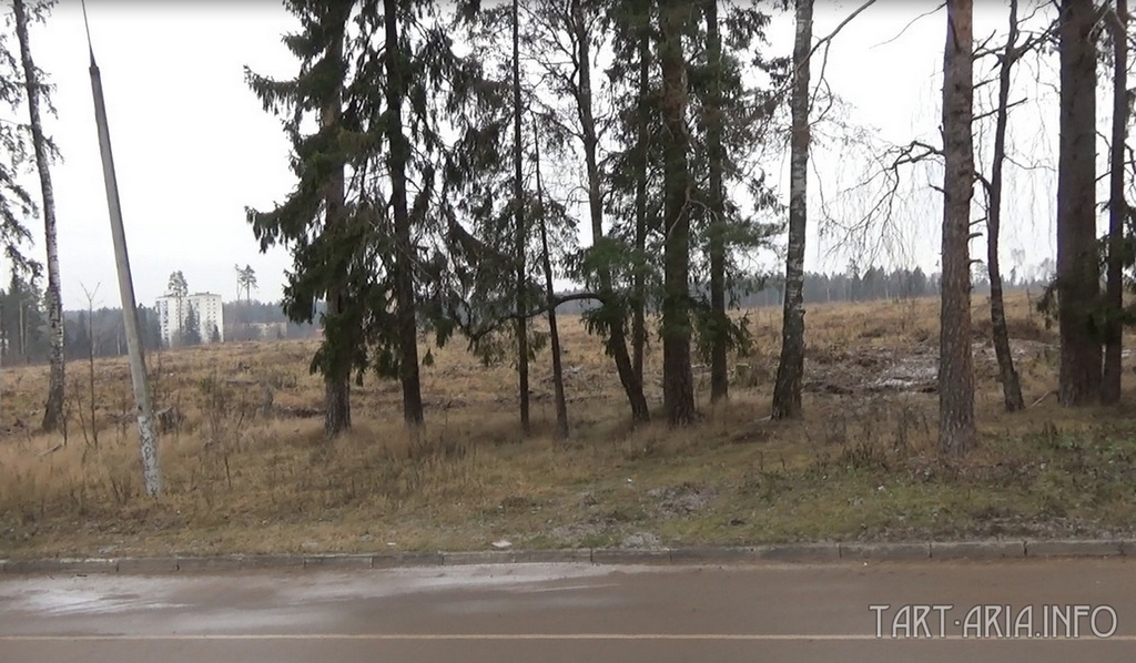 Главный закопыш Московской тартарии 