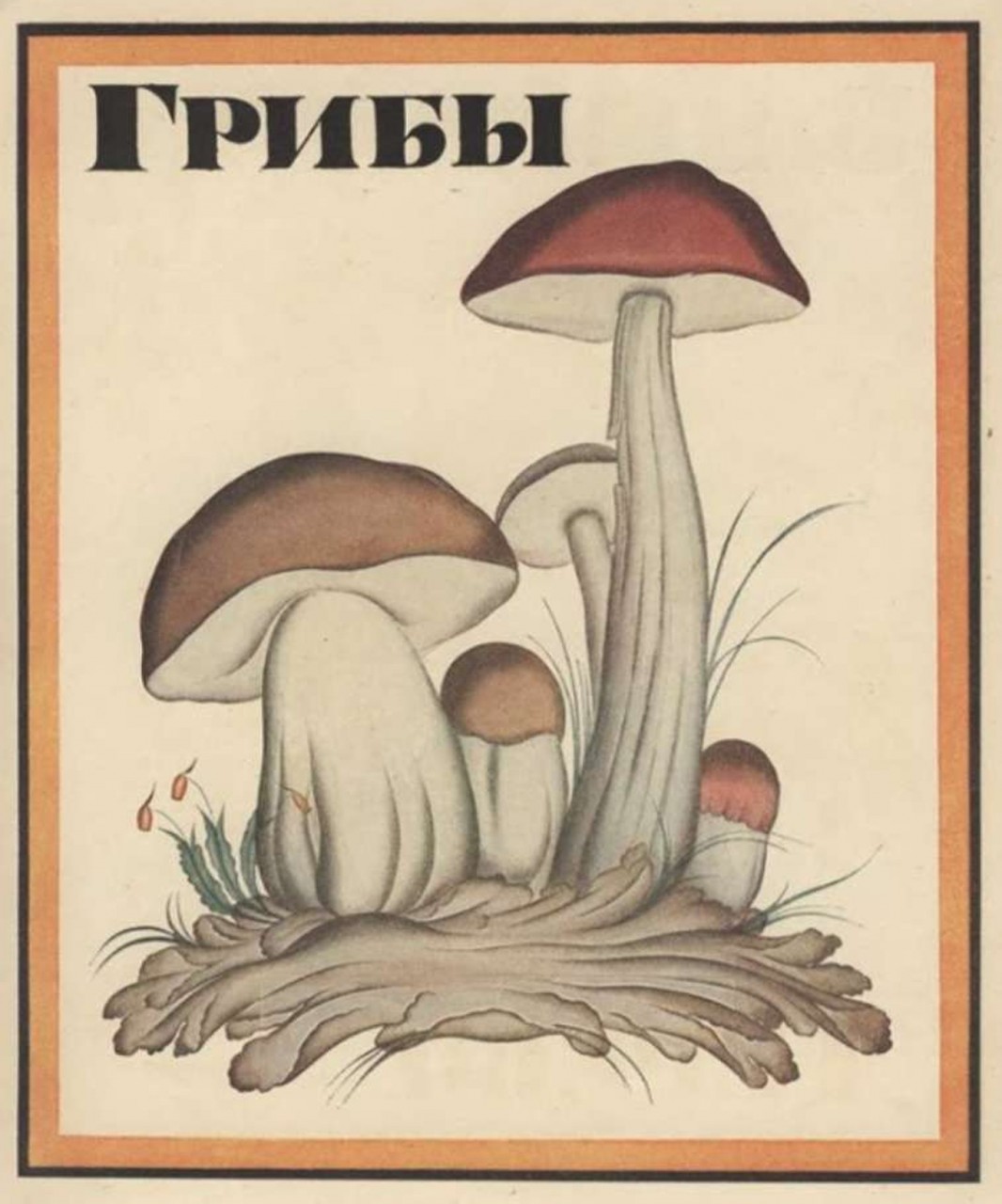 Букварь на службе ликбеза. Галерея 1. Владимир Конашевич