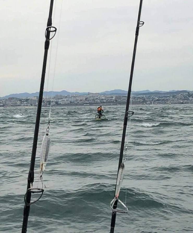 Подборка прикольных картинок  приколы,смешные картинки,юмор