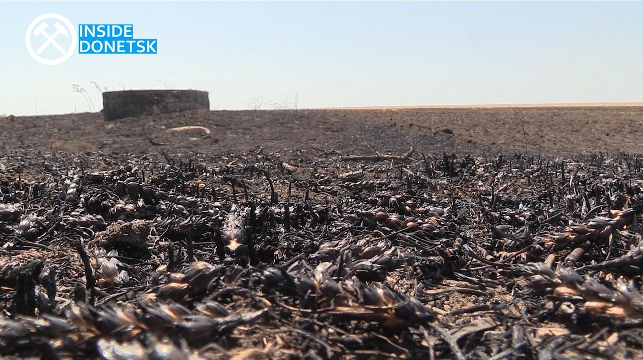 Последние новости Новороссии: Боевые Сводки ООС от Ополчения ДНР и ЛНР — 10 июля 2019