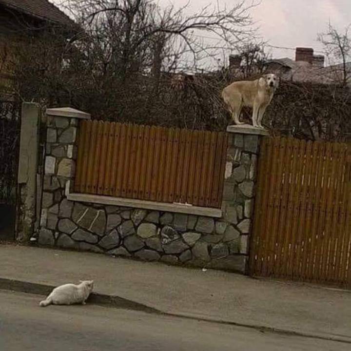 Подборка прикольных картинок
