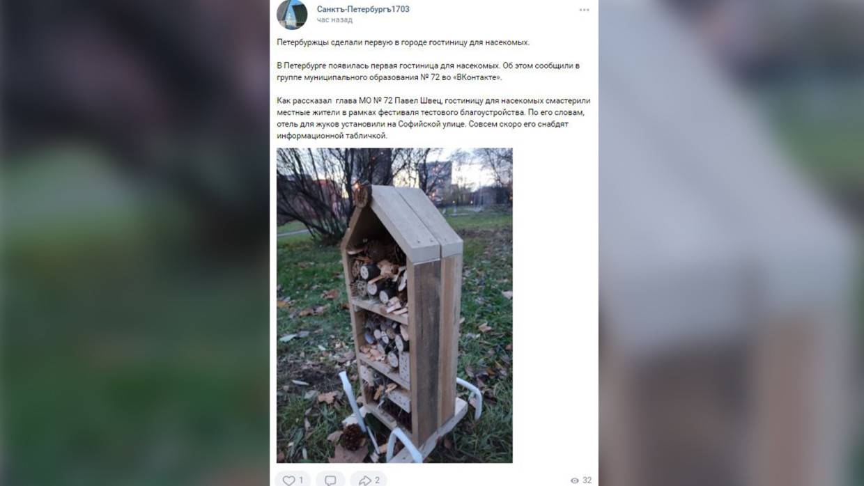 Первая гостиница для насекомых появилась во Фрунзенском районе Петербурга Общество