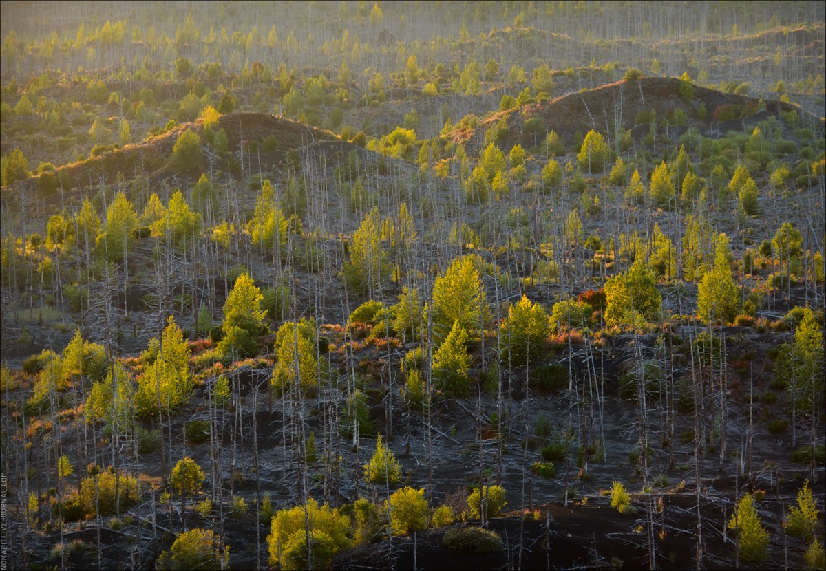 Kamchatka Dreaming — большое камчатское путешествие Толбачик, очень, Зимина, Плоский, Толбачика, километров, десятка, 1975−1976, вулканов, легко, какойто, вулканическим, Ключевского, извержения, в радиусе, поэтому, солнца, только, последствия, часов