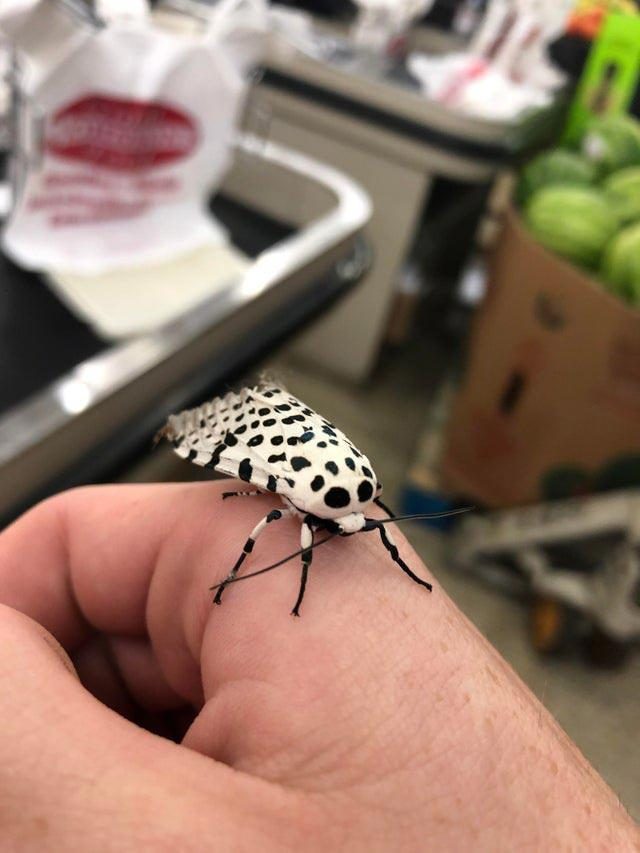 Суперфотографии, которые удивят всех на 100% Суперфотографии, которые удивят всех на 100% мир