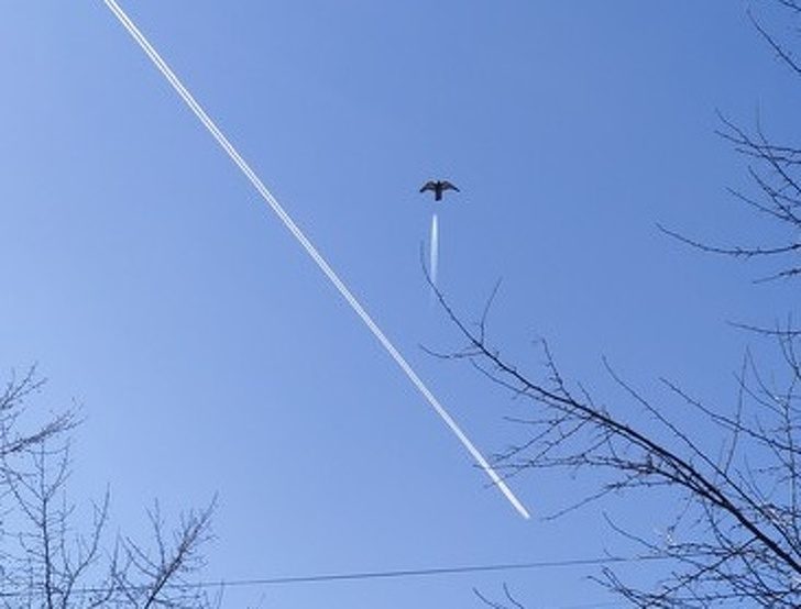 20 доказательств, что нестандартный ракурс может преобразить любой снимок 