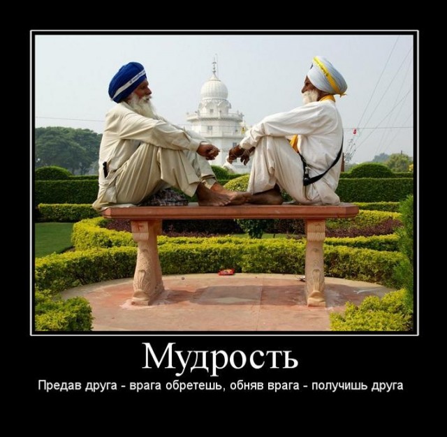 Мудрость картинки смешные, картинка