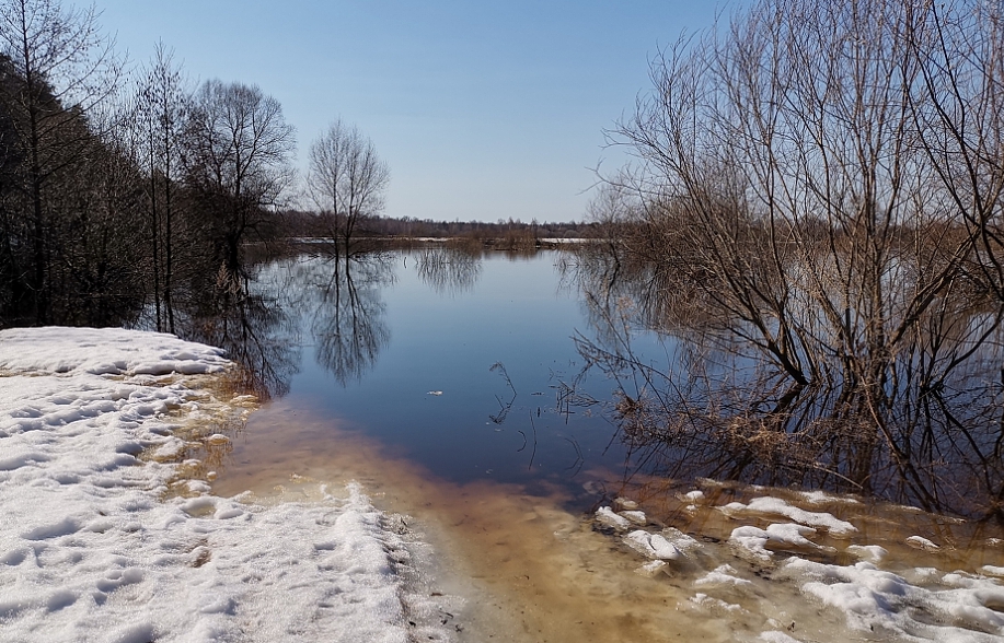Паводок 2023 года в Московской области может стать выдающимся