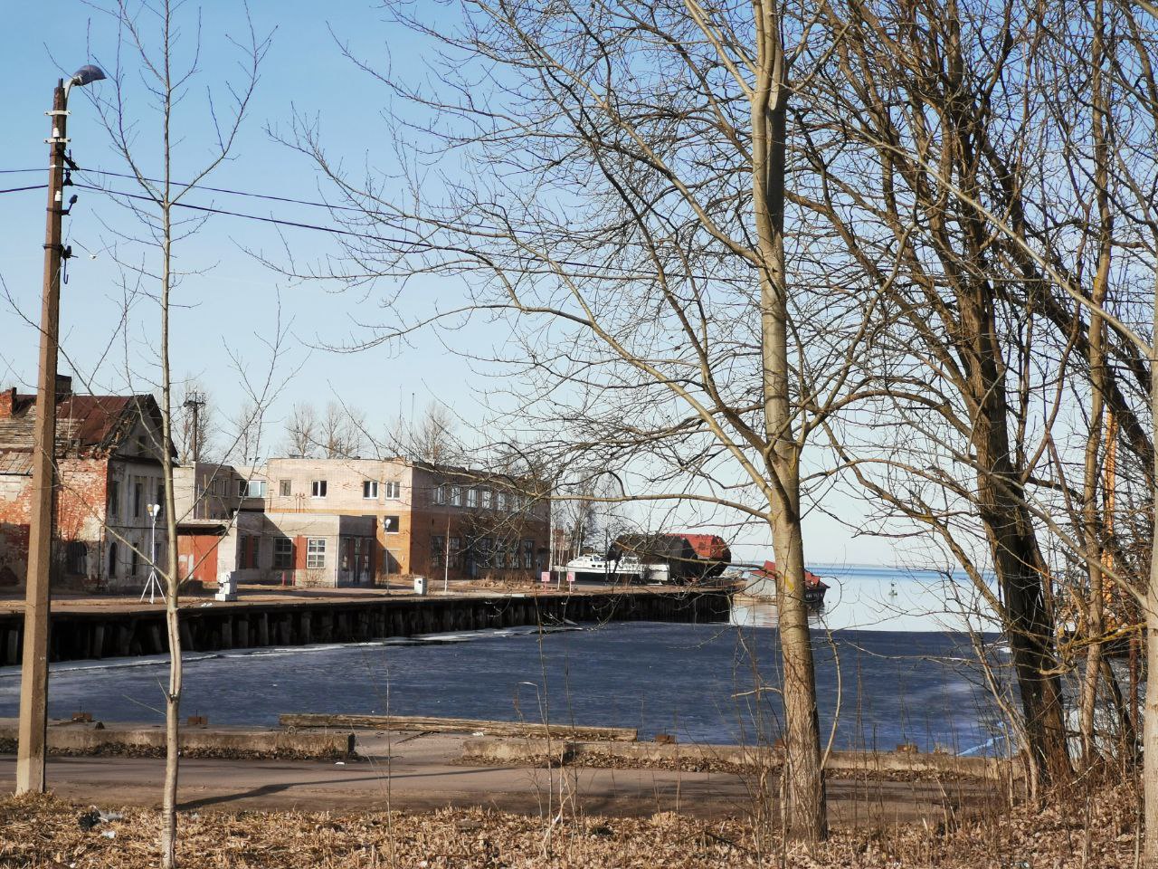 Погода в ленинградской. Погода по Ленинградской области.