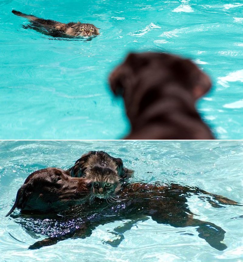 Больше чем фото Больше чем фото дети,животные,моменты,общество,фотография,эмоции