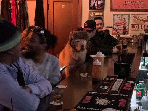 Что здесь происходит?! Что здесь происходит?! смешные картинки